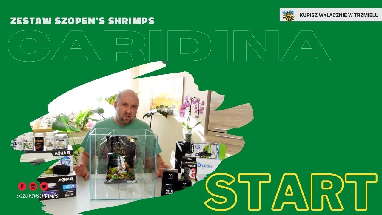 CARIDINA - krewetkarium dla początkujących / ZESTAW SZOPEN'S SHRIMPS