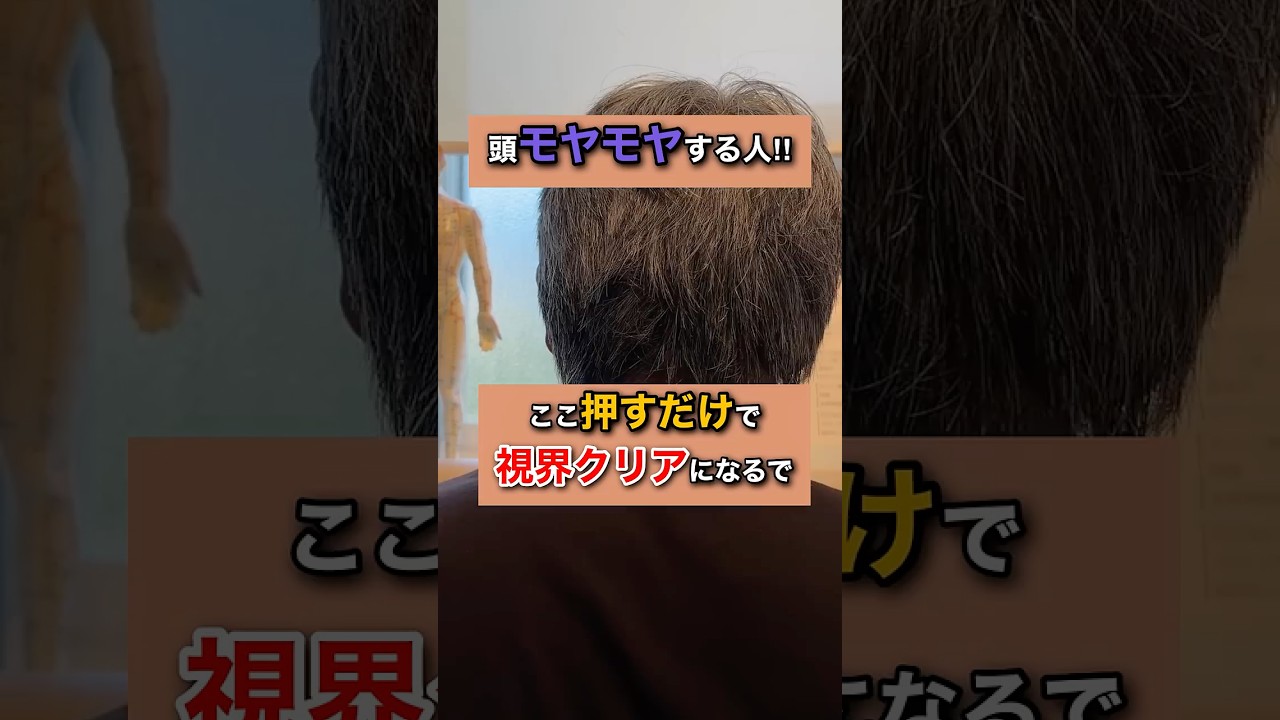 【風池（ふうち）のツボ紹介】#風池 #頭痛改善 #眼精疲労 #自律神経を整える #首こり改善 #セルフケア #ツボ #鍼灸 #整体 #東洋医学 #健康 #shorts #ショート動画