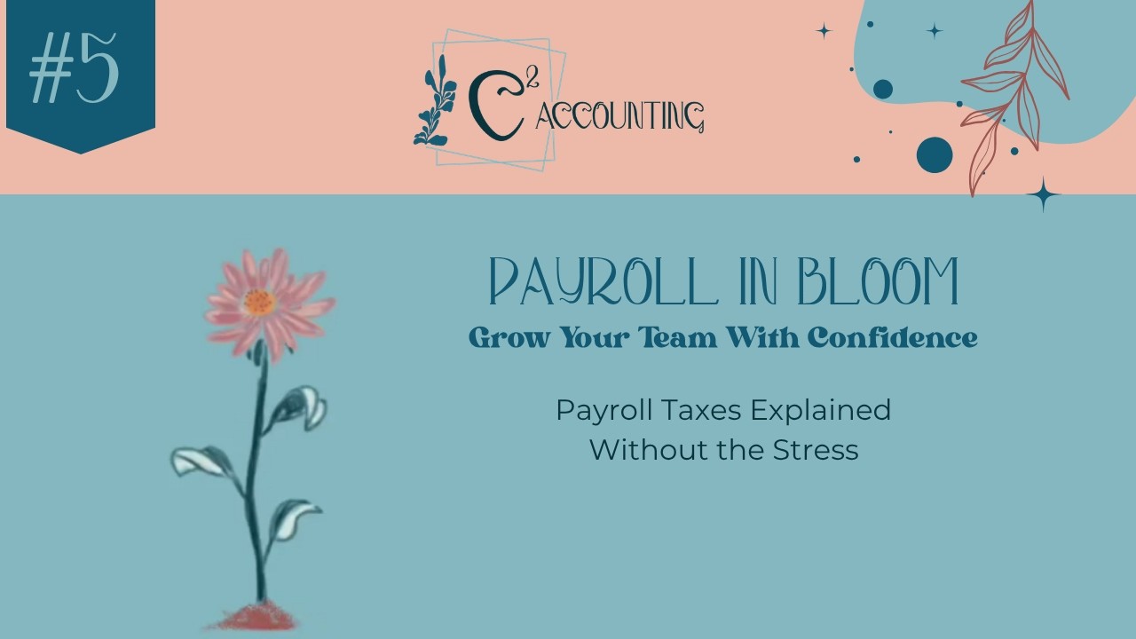 Payroll Taxes Explained Without the Stress | Payroll in Bloom