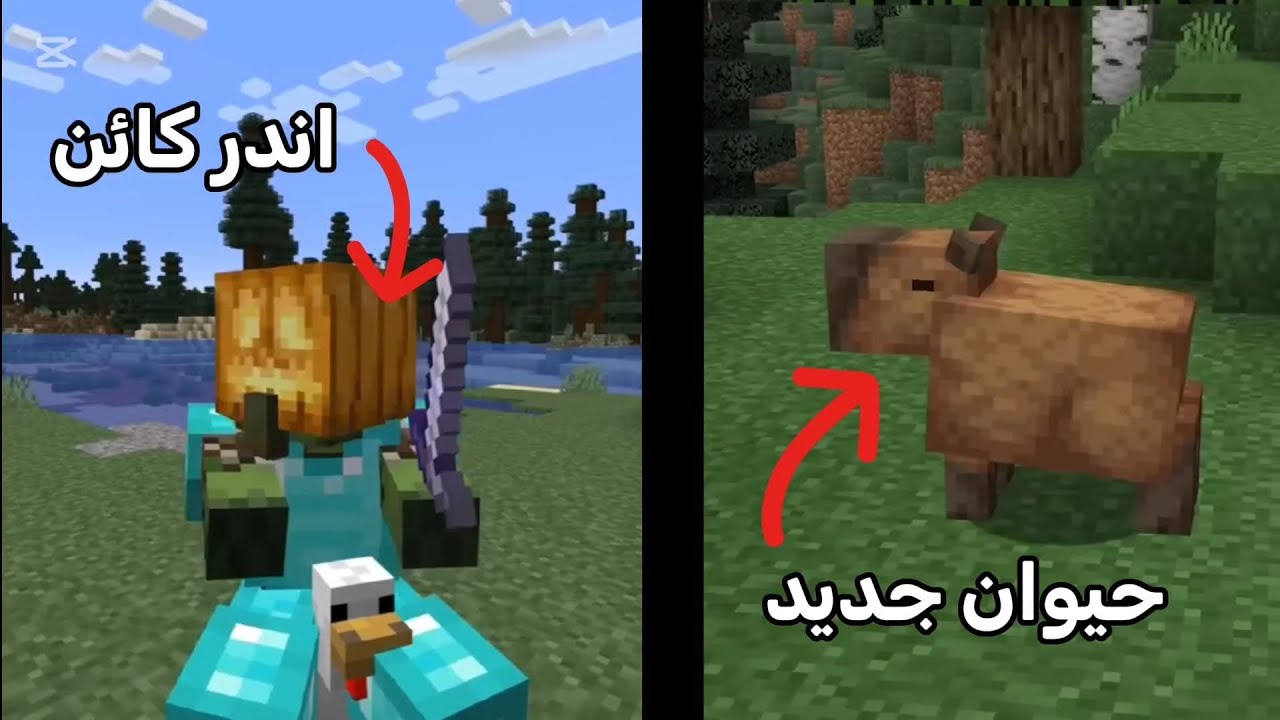 50 معلومة مخفية في ماين كرافت لم تكن تعرفها | معلومات ماين كرافت 