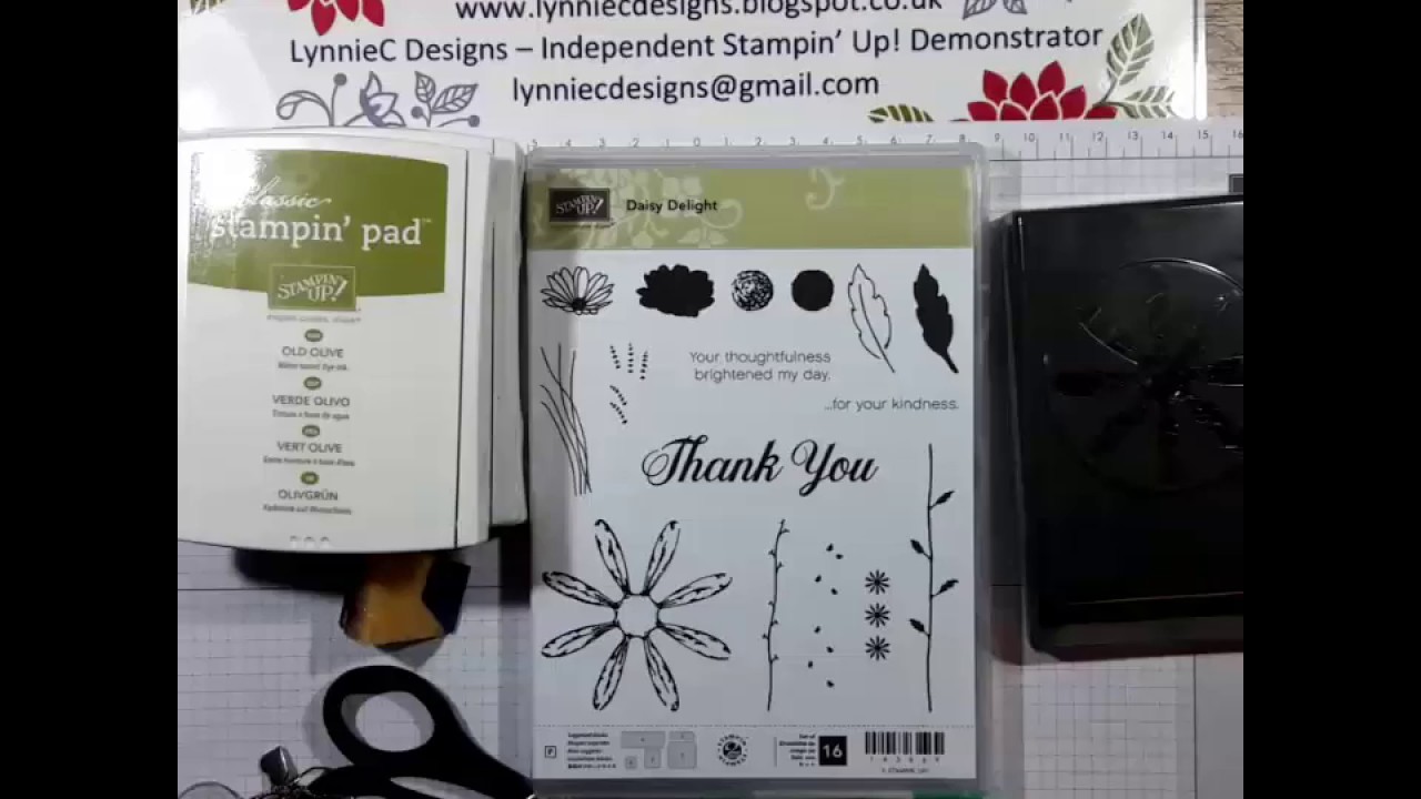 Cards made using the new Daisy Delight stamp set from Stampin' Up!