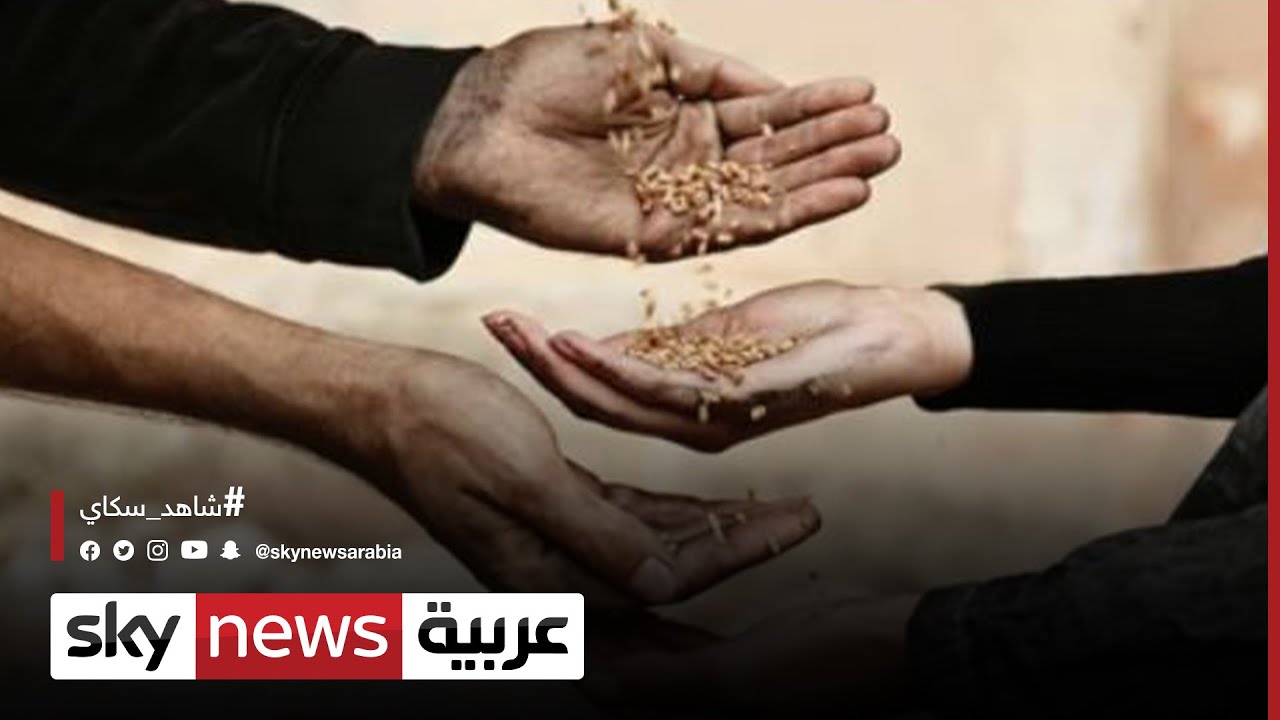 أزمة الغذاء.. ارتفاع مستويات انعدام الأمن الغذائي الحاد في العالم