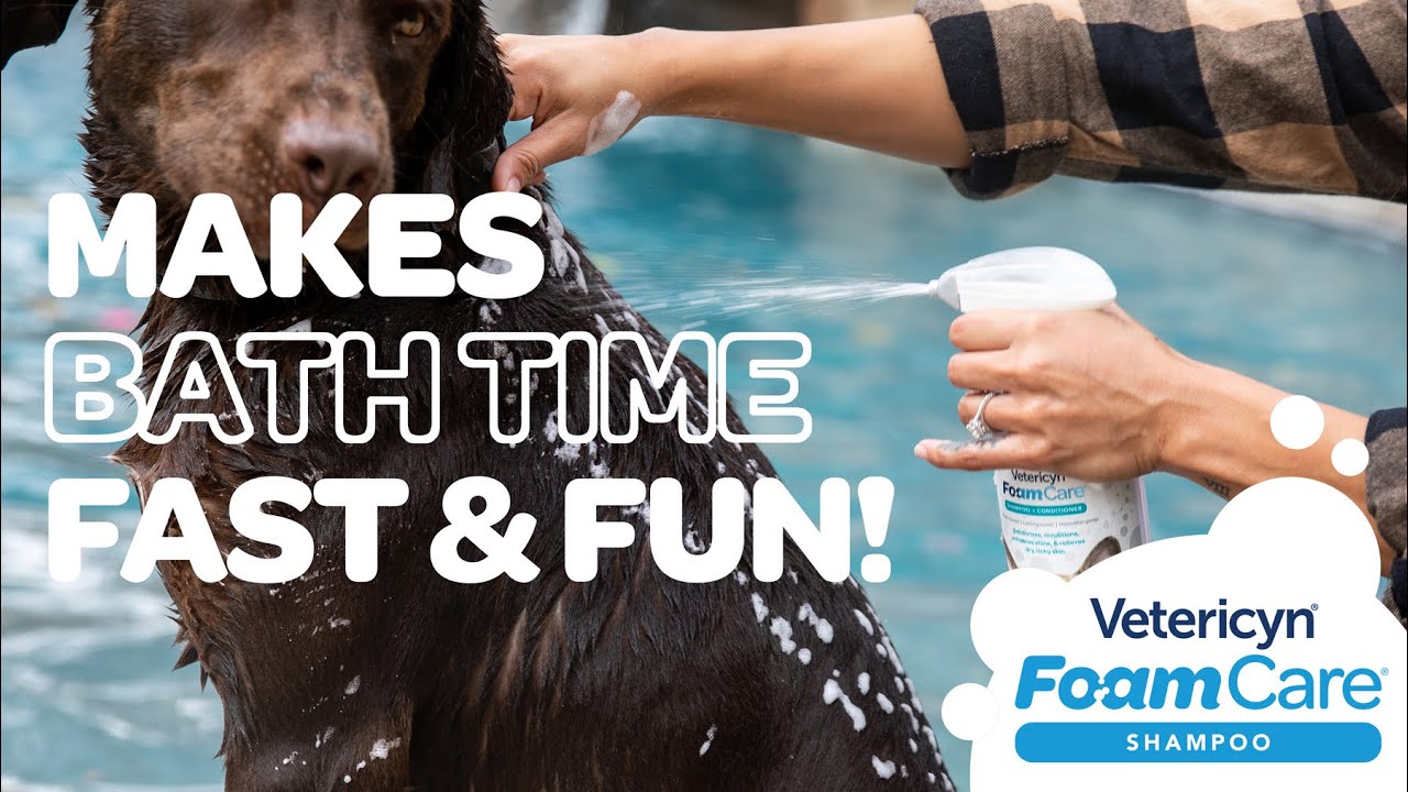 Make bath time frustration-free with Vetericyn FoamCare Pet Shampoo!