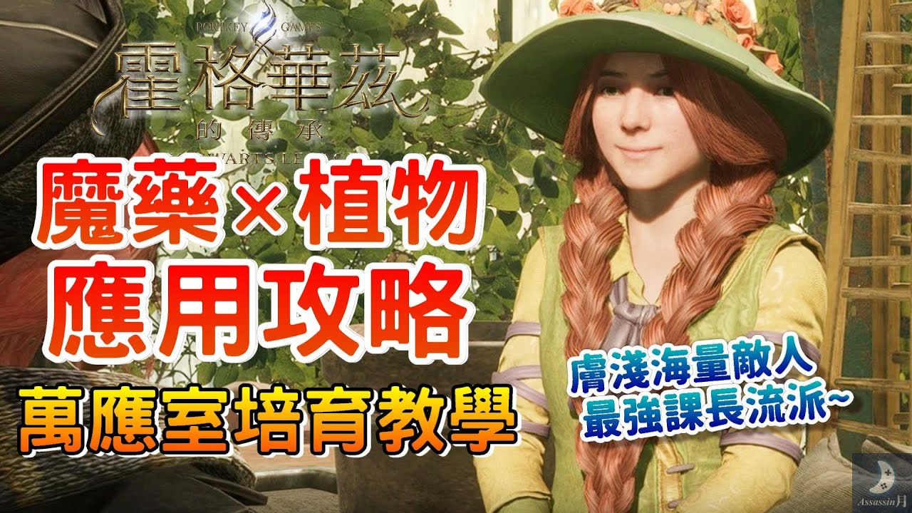 魔藥植物攻略懶人包 萬應室使用攻略｜魔法藥劑 魔法植物 種植教學｜【霍格華茲的傳承】農產品 盆栽推薦 開心農場養成 遊戲心得與技巧｜巨著與卷軸 金毛菊與毒鵝膏 雷釀 固魔藥 終極魔藥 專注藥水｜阿月