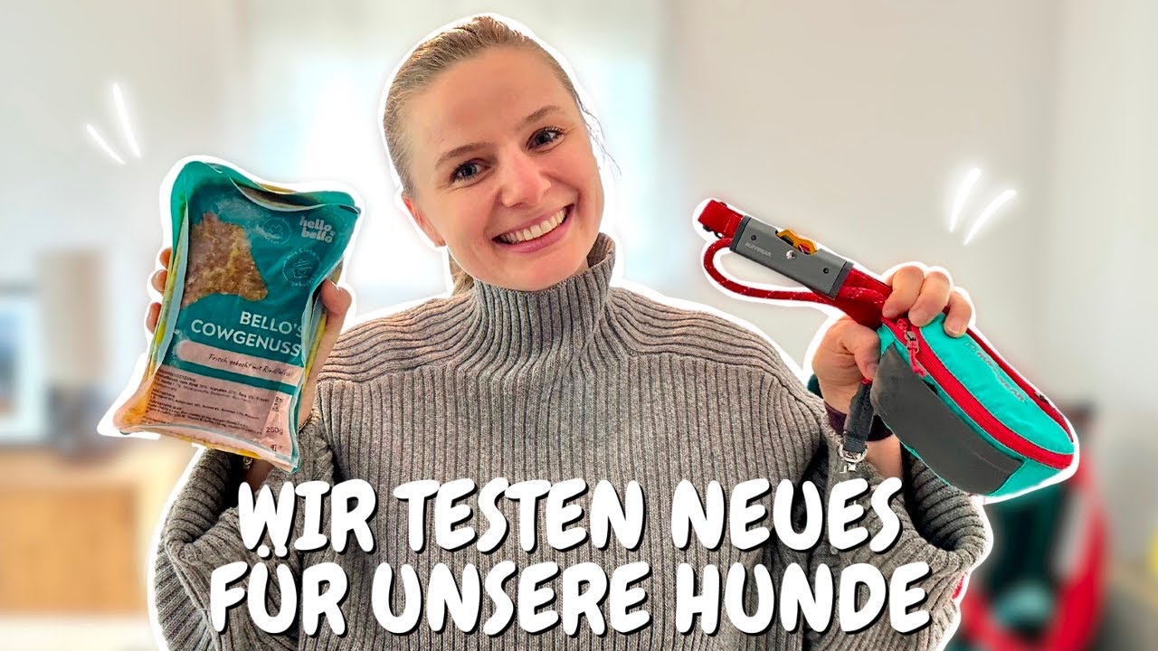 TEST zu HELLOBELLO und RUFFWEAR Bauchgurt mit Hundeleine
