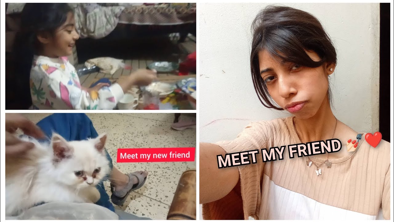 Met a cat today || DUA'S FAMILY 