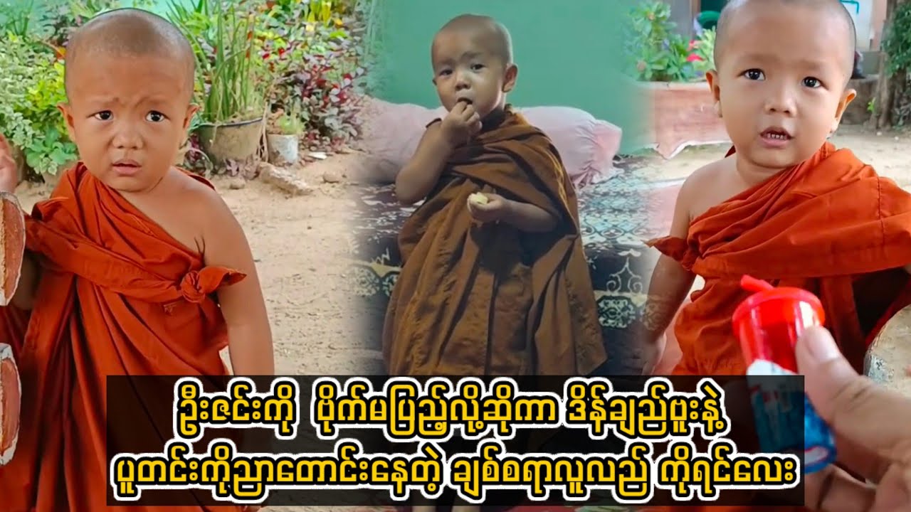 ဦးဇင်းကို  ဗိုက်မလို့ဆိုကာ ဒိန်ချည်ဗူးနဲ့ ပူတင်းကို ညာတောင်းနေတဲ့ ချစ်စရာလူလည် ကိုရင်လေး