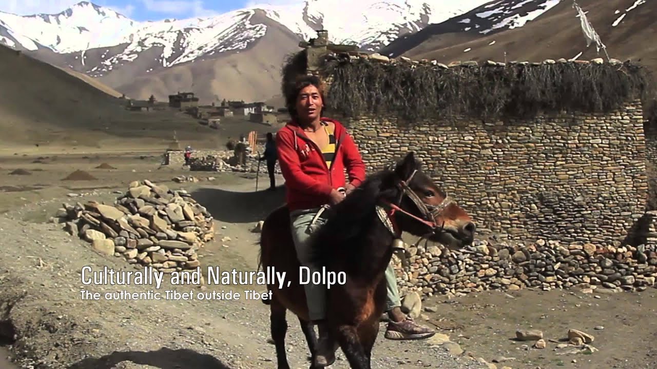 DOLPO; Still Safe, Still Untouched.