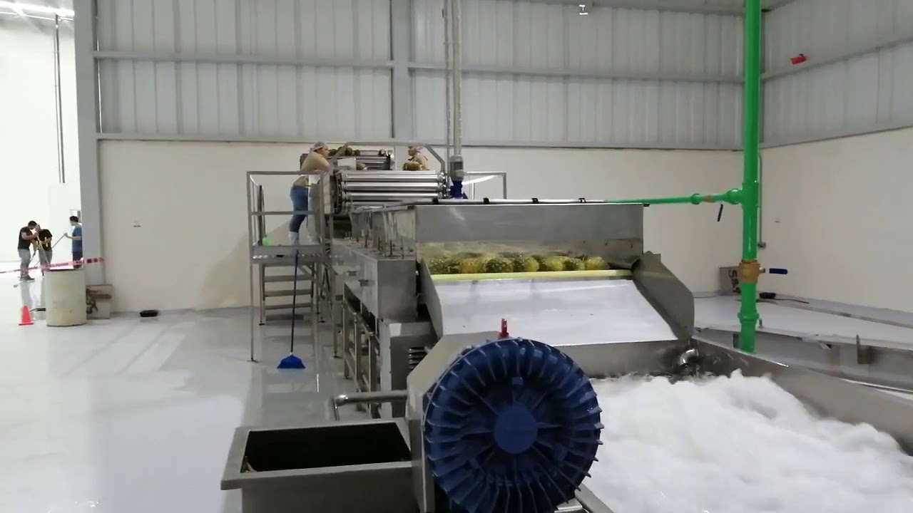 Pineapple Cleaning Machine