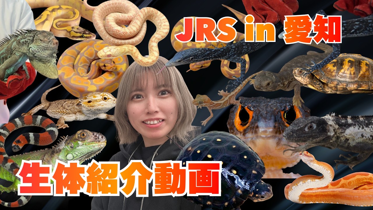 【JRS in 愛知】連れて行く生体紹介