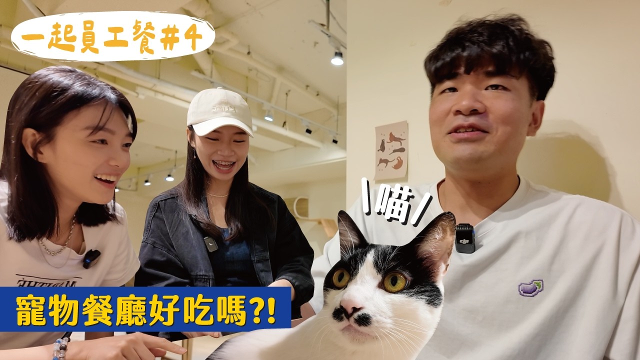 一起員工餐-有貓咪就給讚ฅ^•ﻌ•^ฅ!!!我是抽卡神手🙂‍↕️大家的國中回憶...｜04