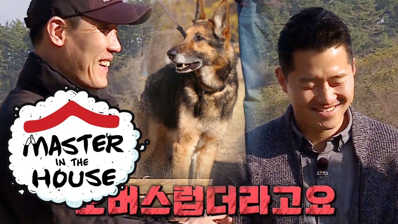 Leo Suddenly Limps.. He Must've Missed His Footing on the Way Down [Master in the House Ep 63]