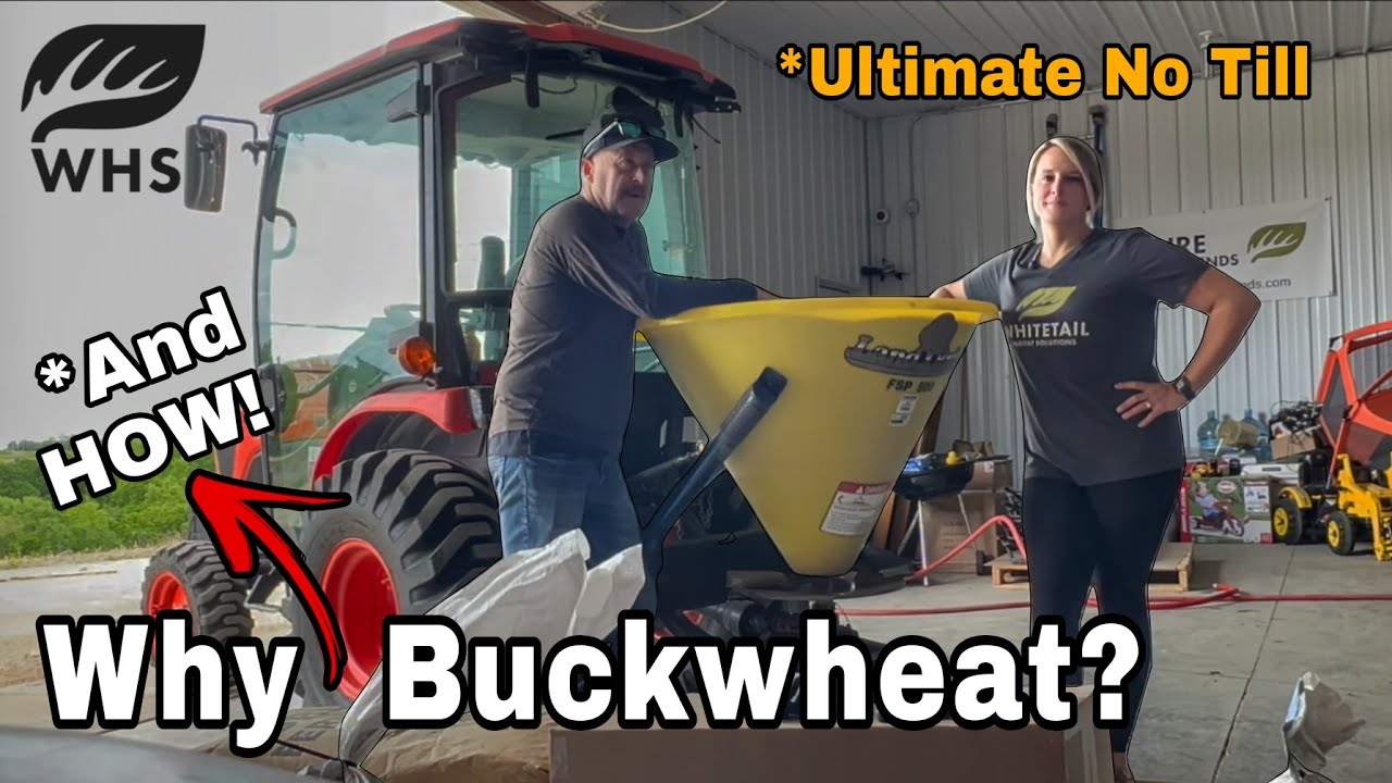 Ultimate Buckwheat No Till Planting 2025