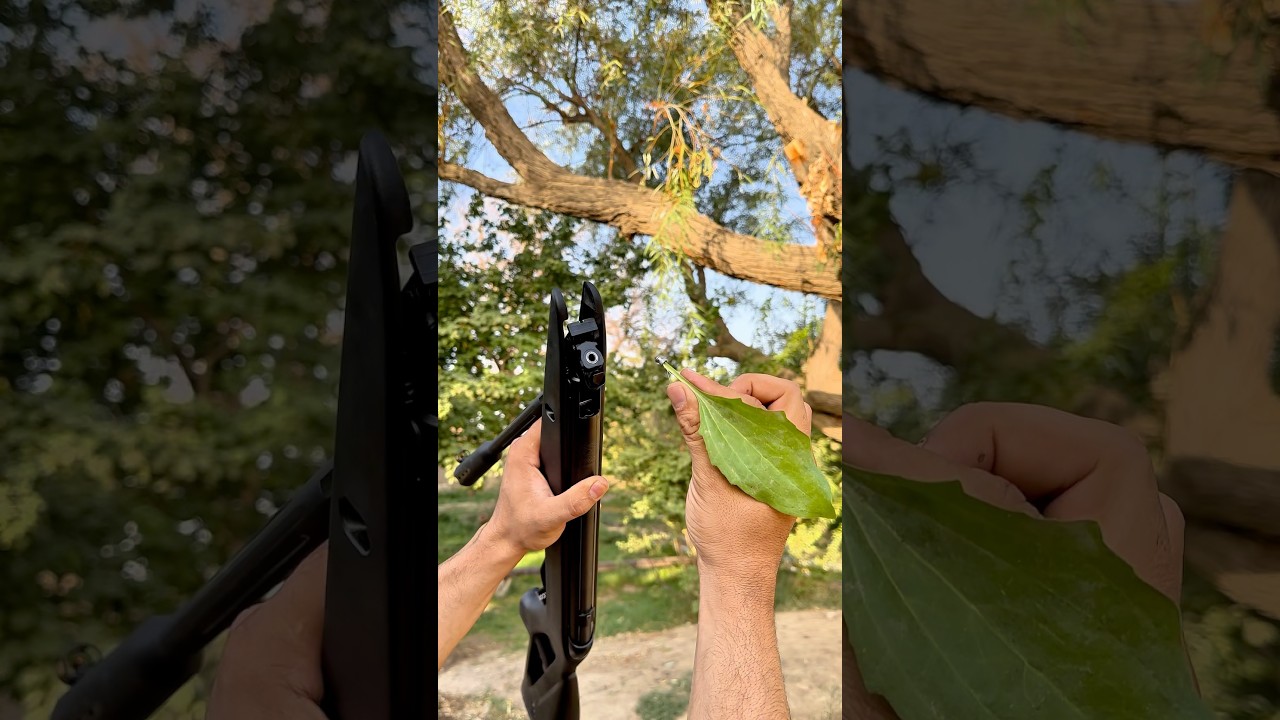 GAMO WISPER X & AIRGUN 