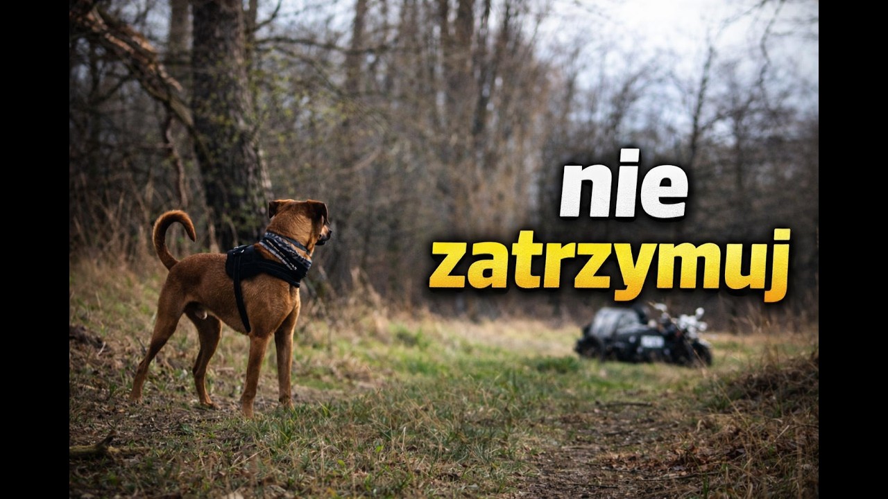 Moto Psina Rock - Nie zatrzymuj