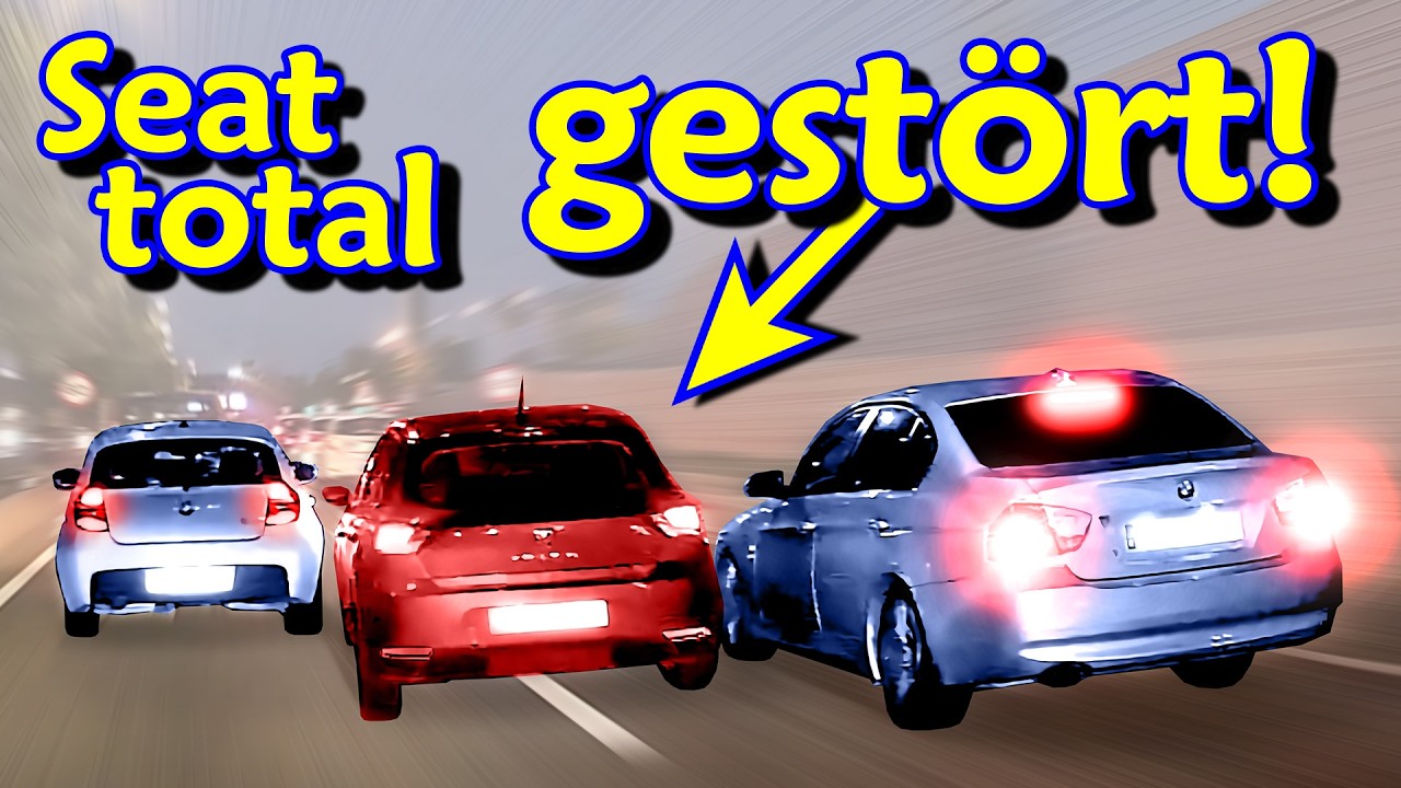Verr&uuml;cktes &Uuml;berholen, Ampel-Chaos und s&uuml;&szlig;e Fuchsfamilie | DDG Dashcam Germany | #663