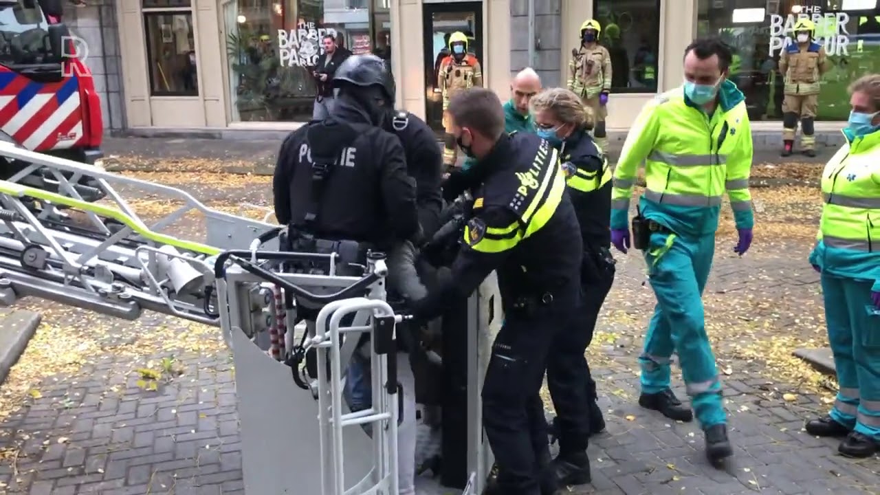 Arrestatieteam haalt man uit Rotterdamse boom die kap probeert tegen te houden