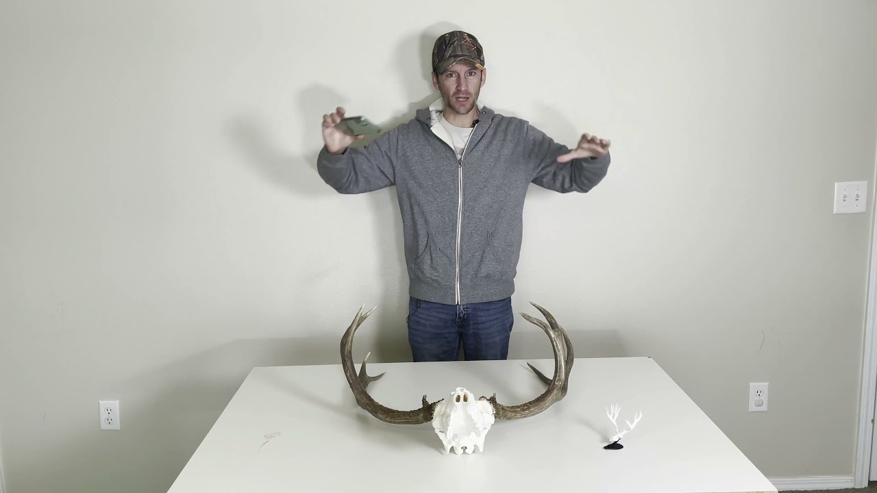 Scan Deer How To Video
