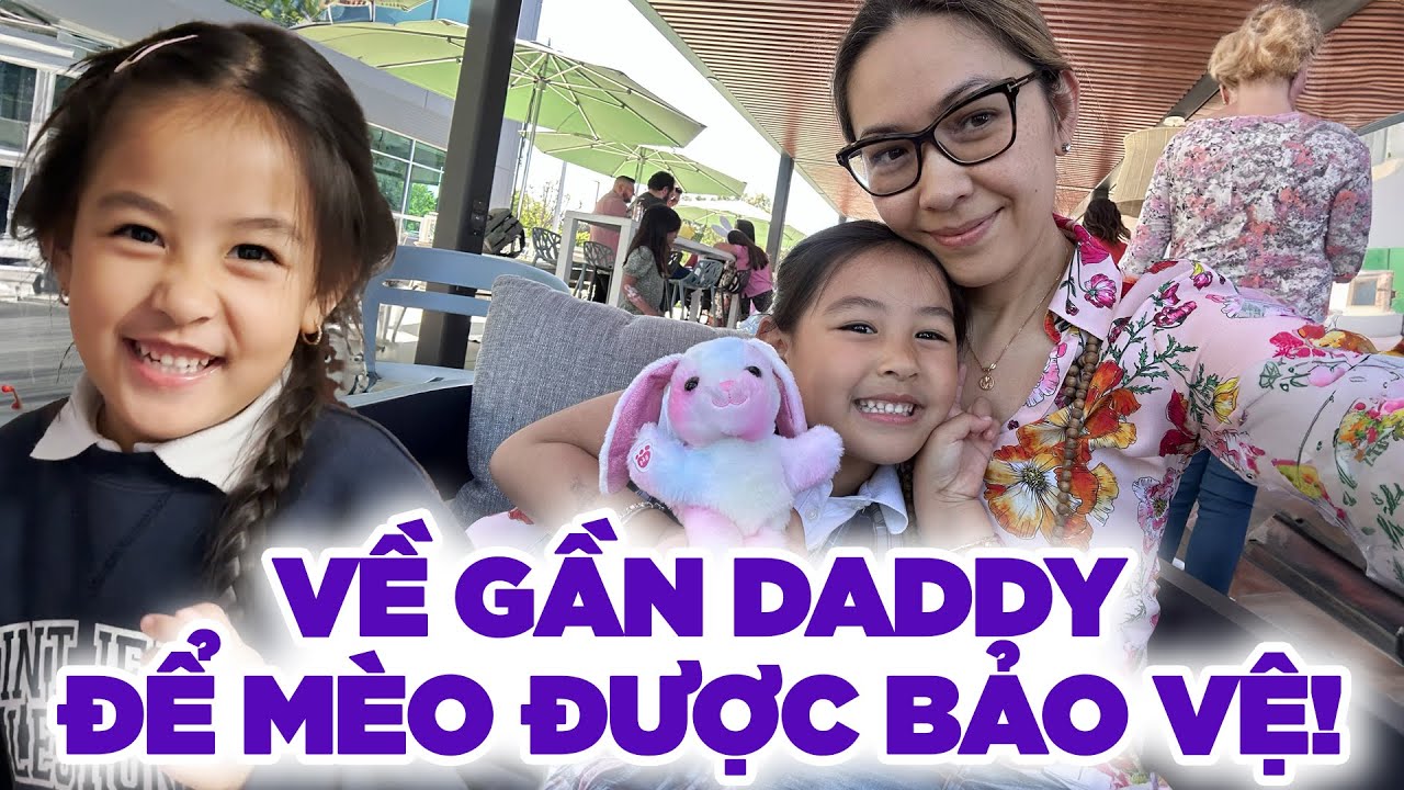 Một Ngày Đặc Biệt - Mèo Được Gần Daddy Hơn Trong Tim! I Mèo Daily Vlog