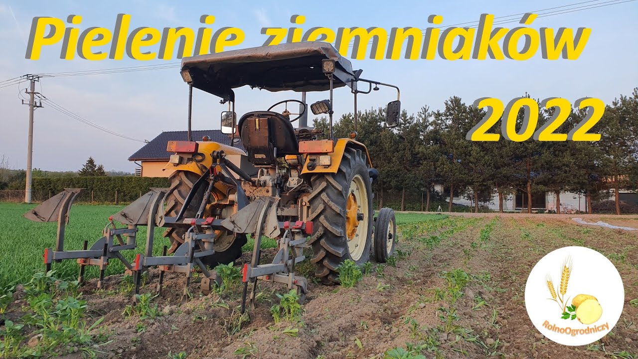 Pielenie ziemniaków wczesnych Lord i Vineta || Zetor + Akpil + kopoczyk || VLOG #77 ||
