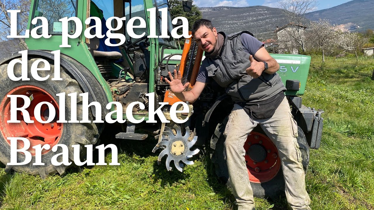 Da 1 a 5: che voto si merita il Rollhacke Braun?