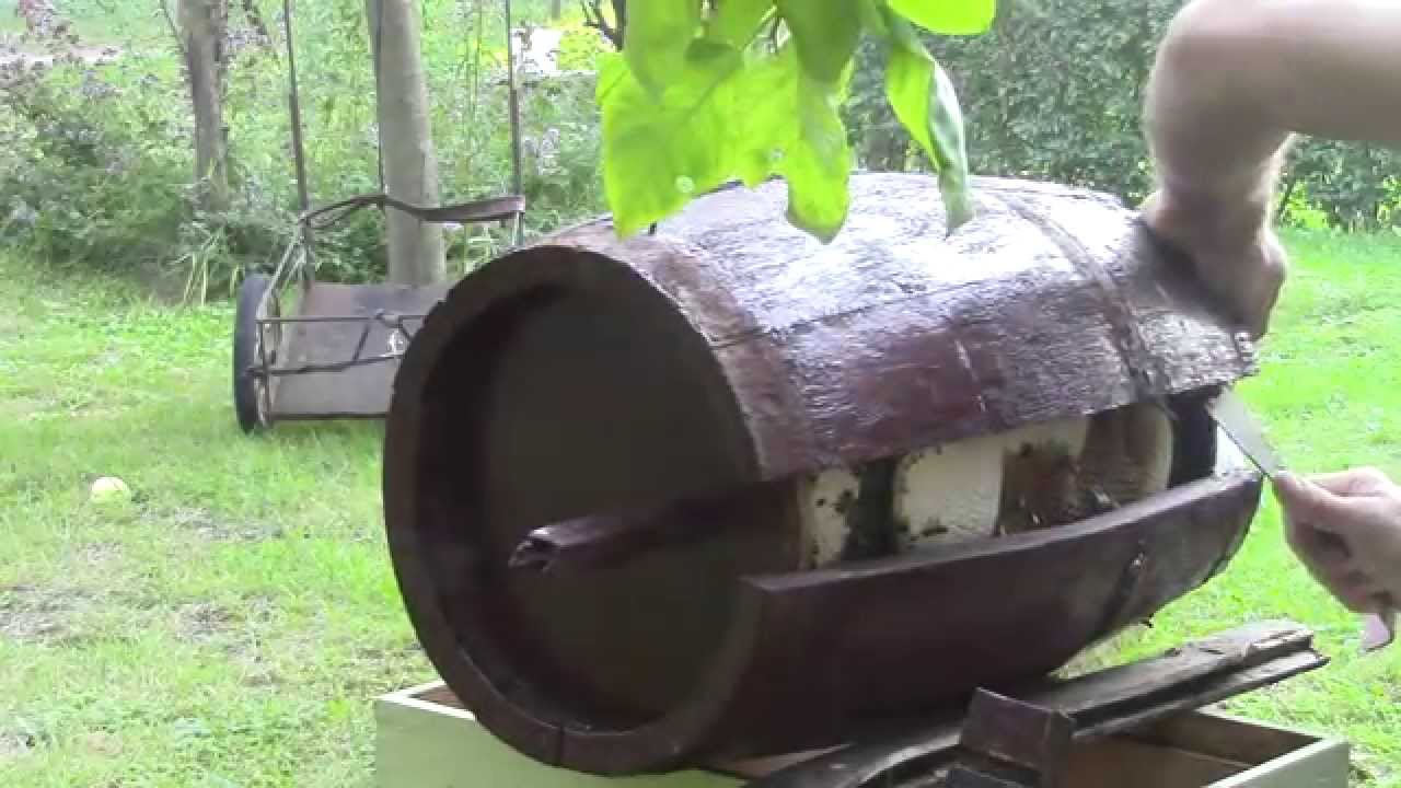 Bee swarm in an oak barrel