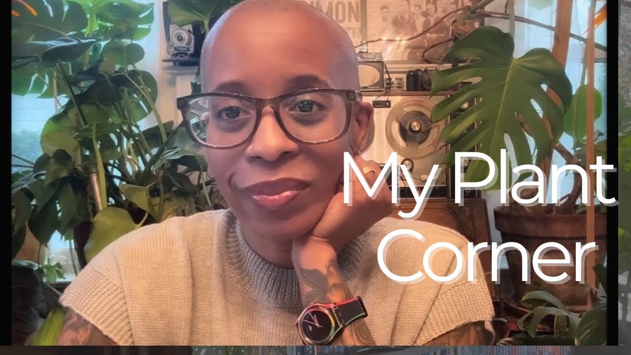 Some of the Plants in our Home | Sunroom, Dining and Living room