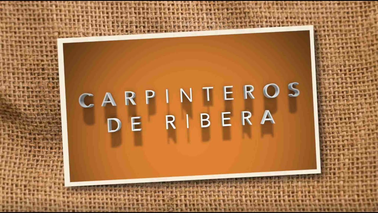 Carpinteros de Ribera