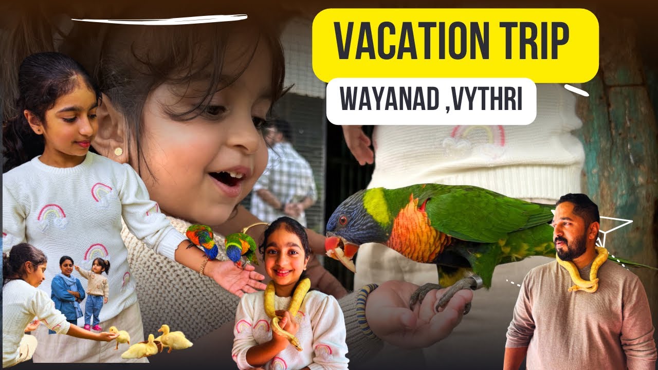 അങ്ങനെ പത്തു ദിവസത്തെ Christmas vacation കഴിഞ്ഞു 🥰#vacation vlog #vythiri #wayanad 