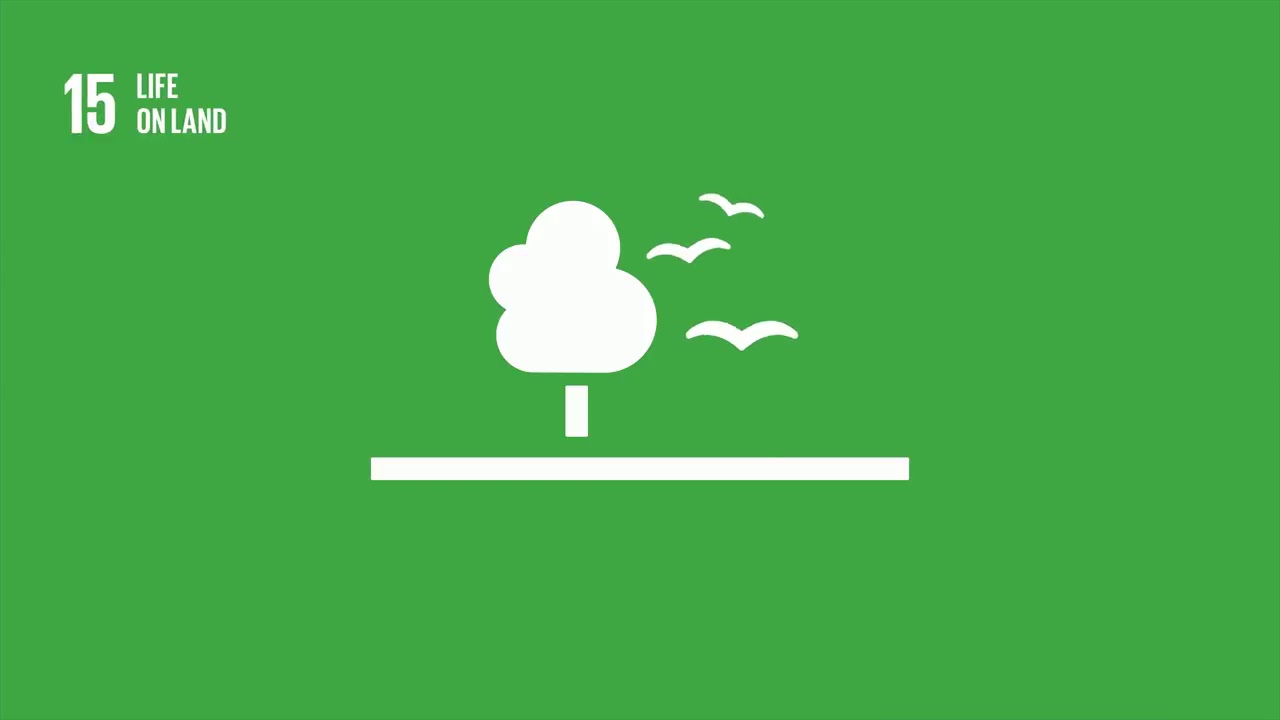 SDGs Animation