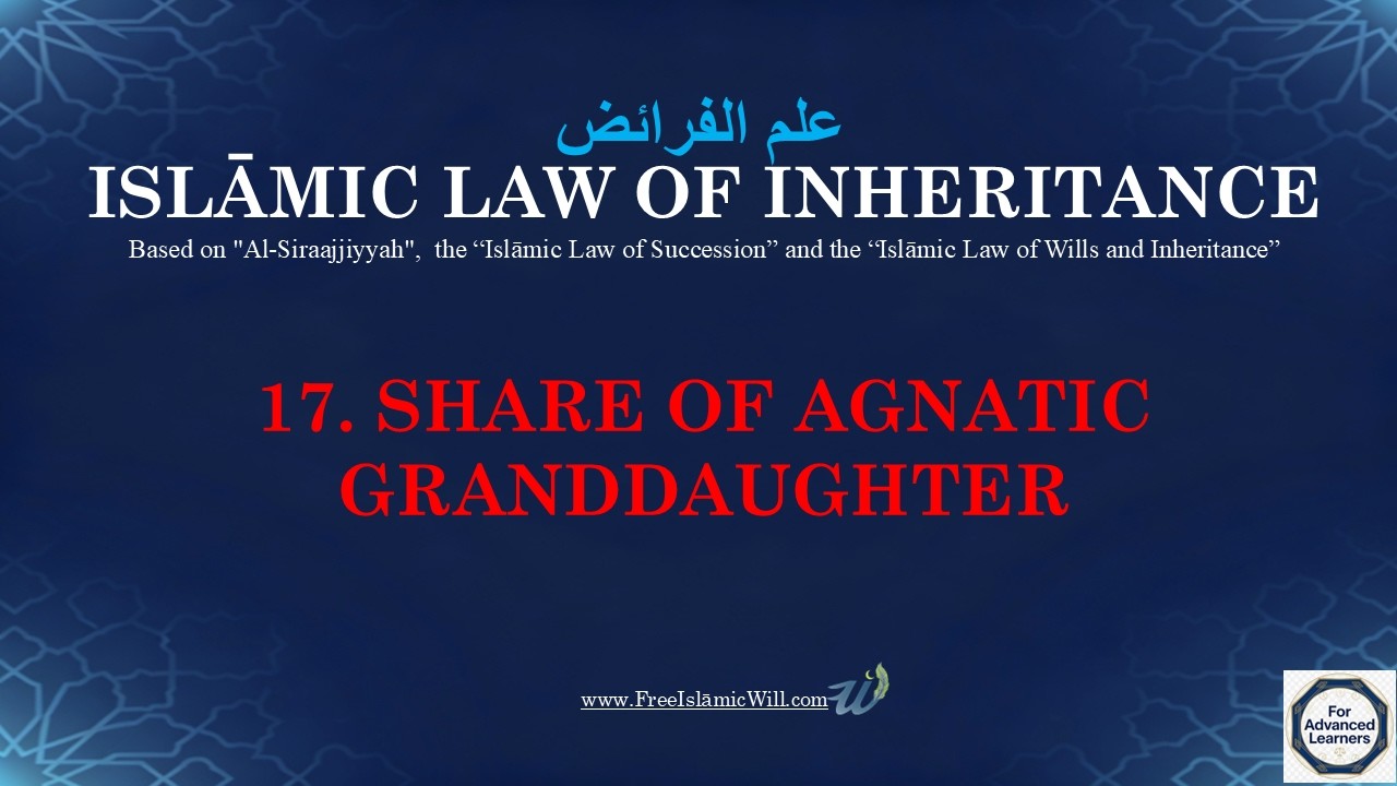 17. INHERITANCE SHARE OF THE AGNATIC GRANDDAUGHTER