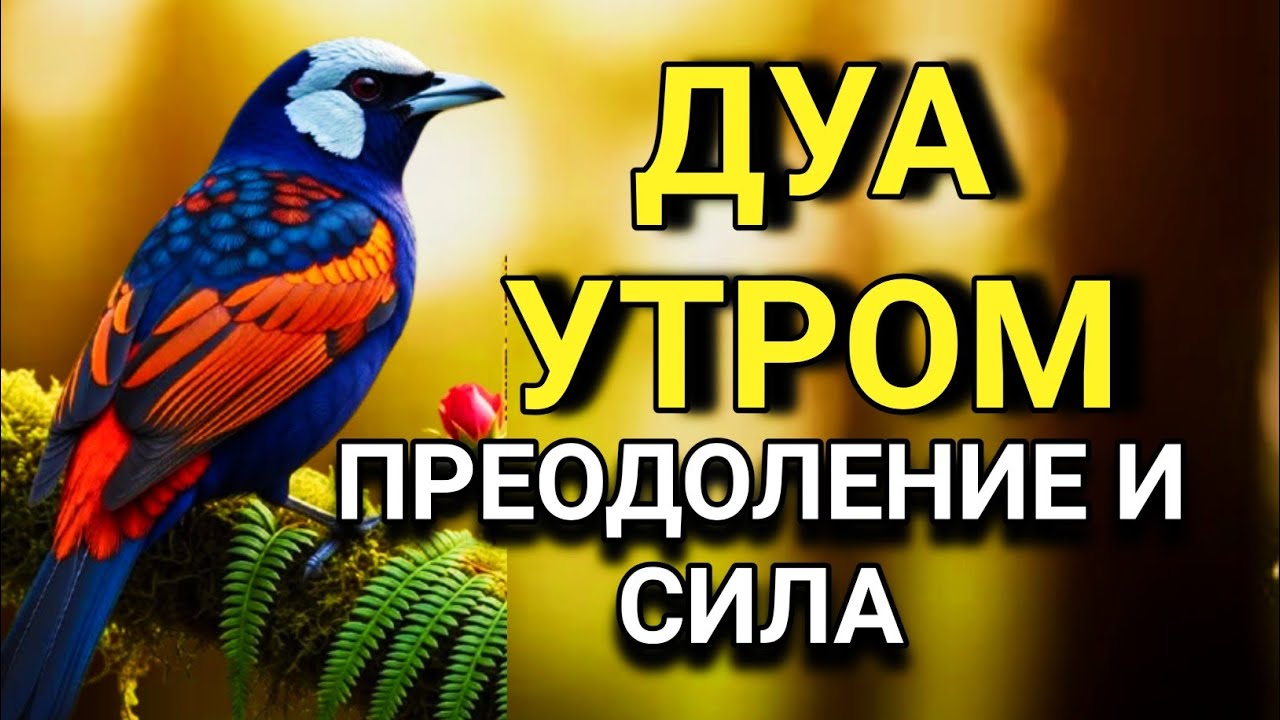 🌟 ДУА ДЛЯ ПРИВЛЕЧЕНИЯ СЧАСТЬЯ И УДАЧИ! 🔑💖💯