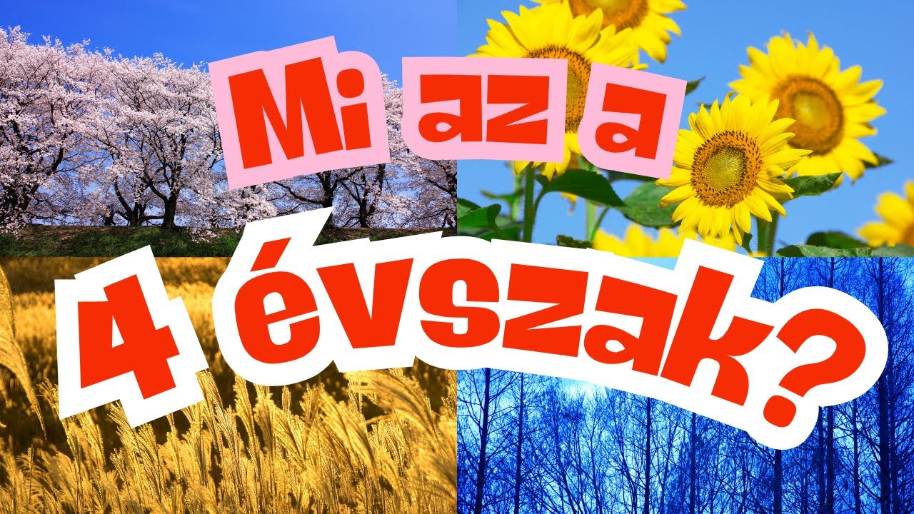 Mi Az A Négy Évszak? - Ismerd Meg Az Évszakokat!