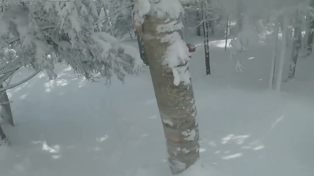 Snowboarding at #stowe Vermont 