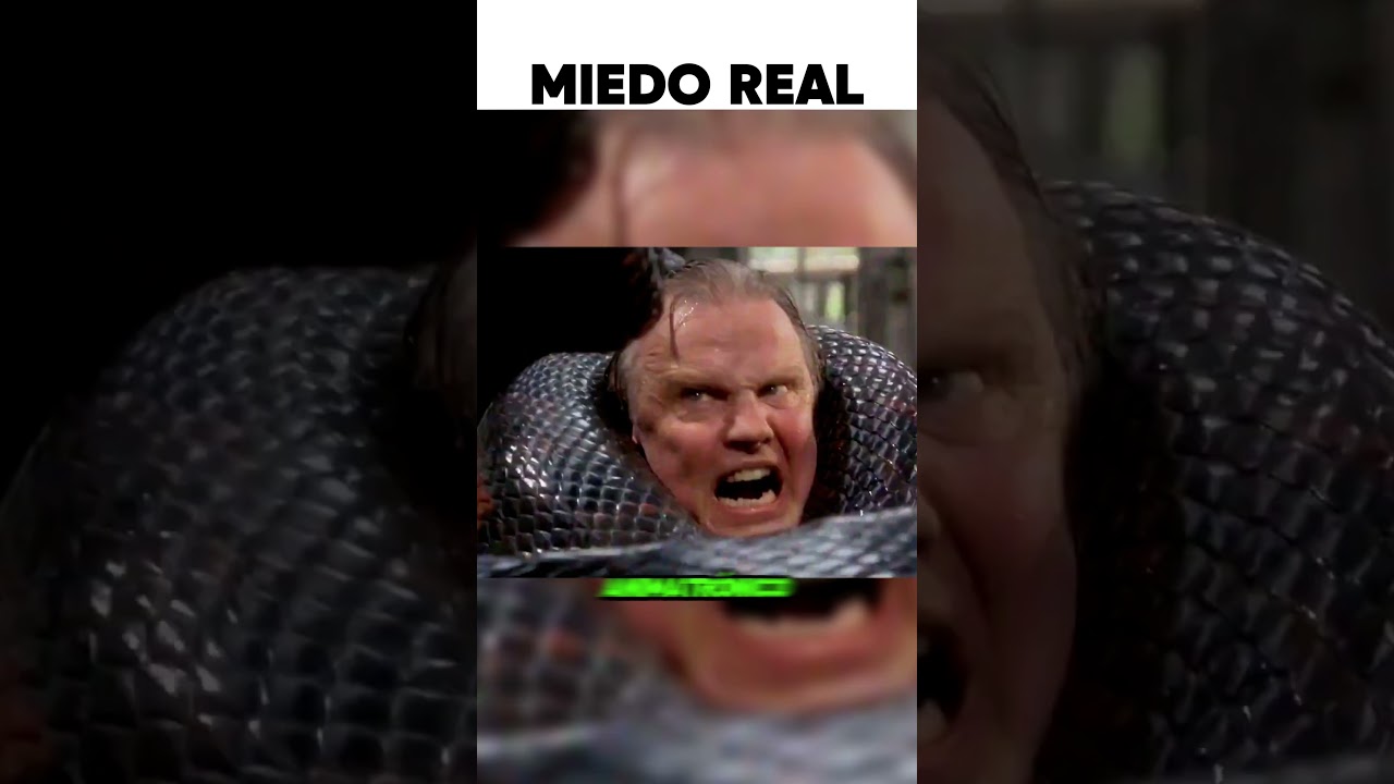 La ANACONDA les dio MIEDO REAL