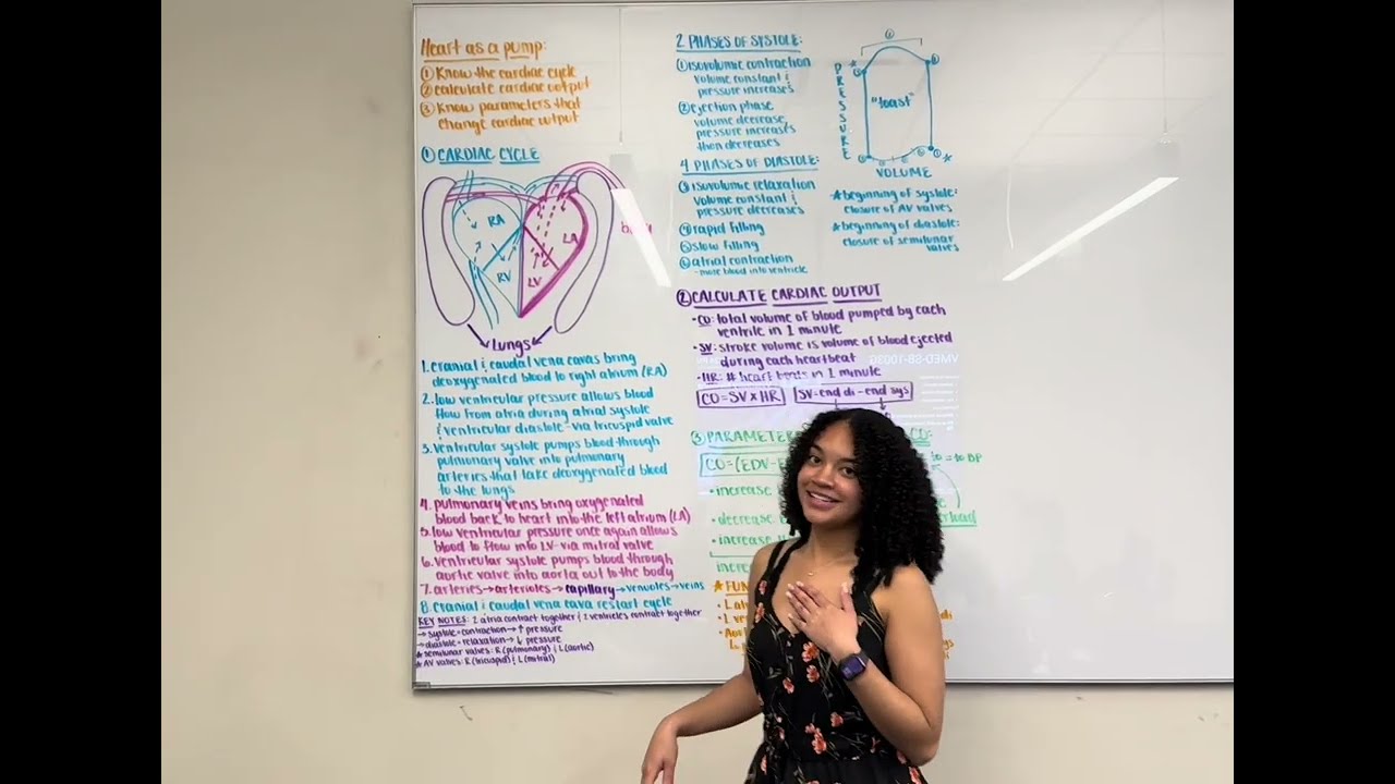Heart as a Pump