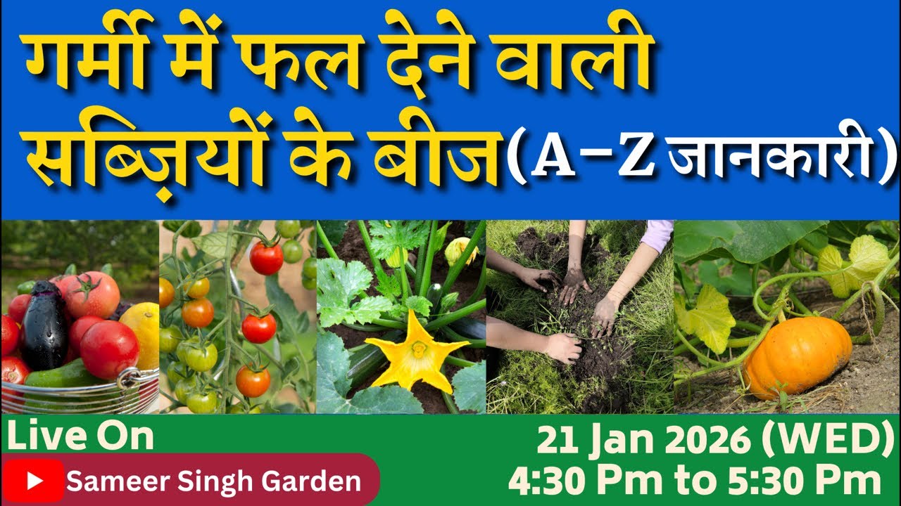 गर्मी में फल देने वाली सब्ज़ियों के बीज (A–Z जानकारी) || Best Summer Vegetable Seeds