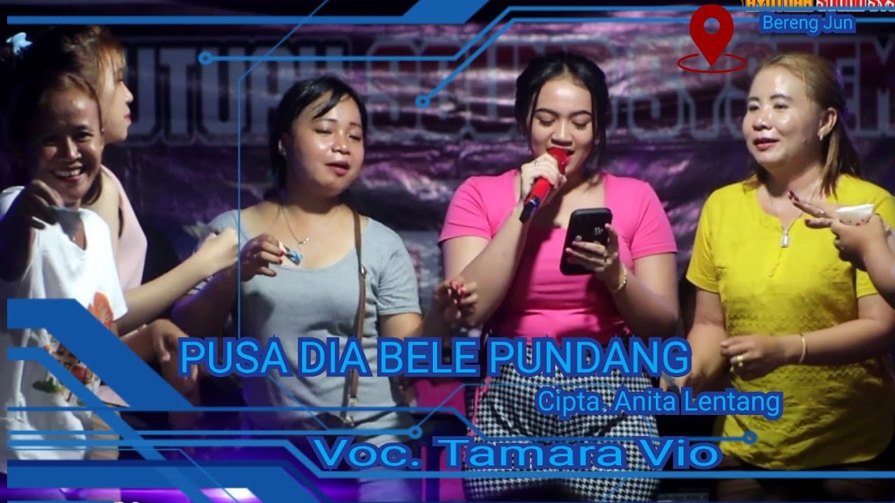 PUSA DIA BELE PUNDANG~ BY TAMARA VIO~ LIVE PARTY MUSIK ~ DIDESA BERENG JUN