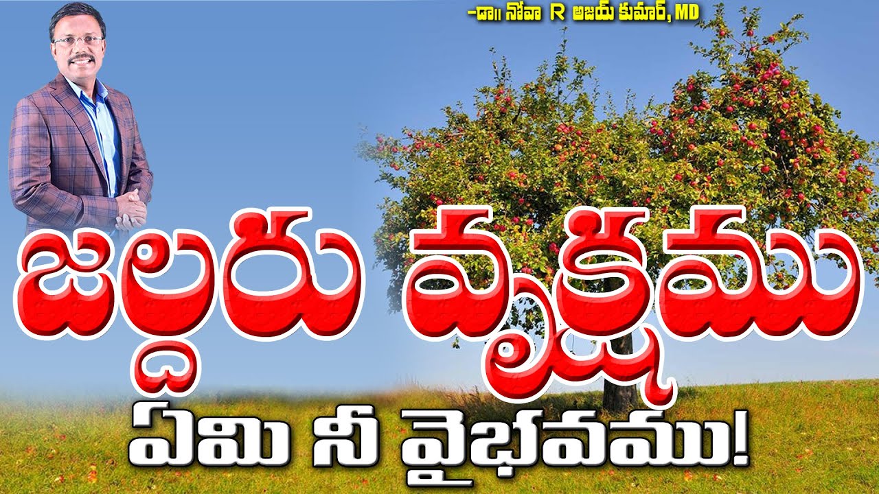 జల్దరు వృక్షము ఏమి నీ వైభవము! - Lessons from an Apple tree - Dr. Noah