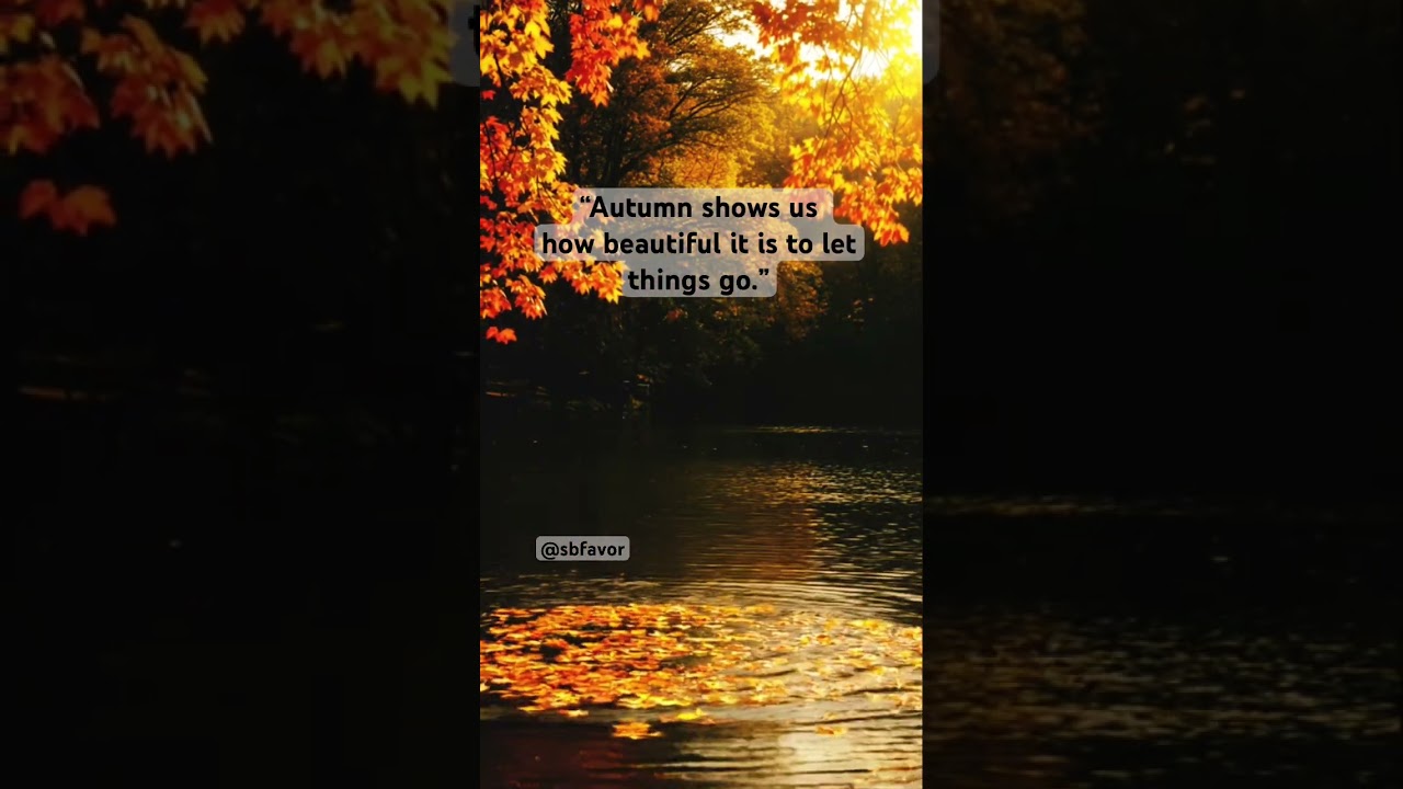 Inspirational Mindful Quote 