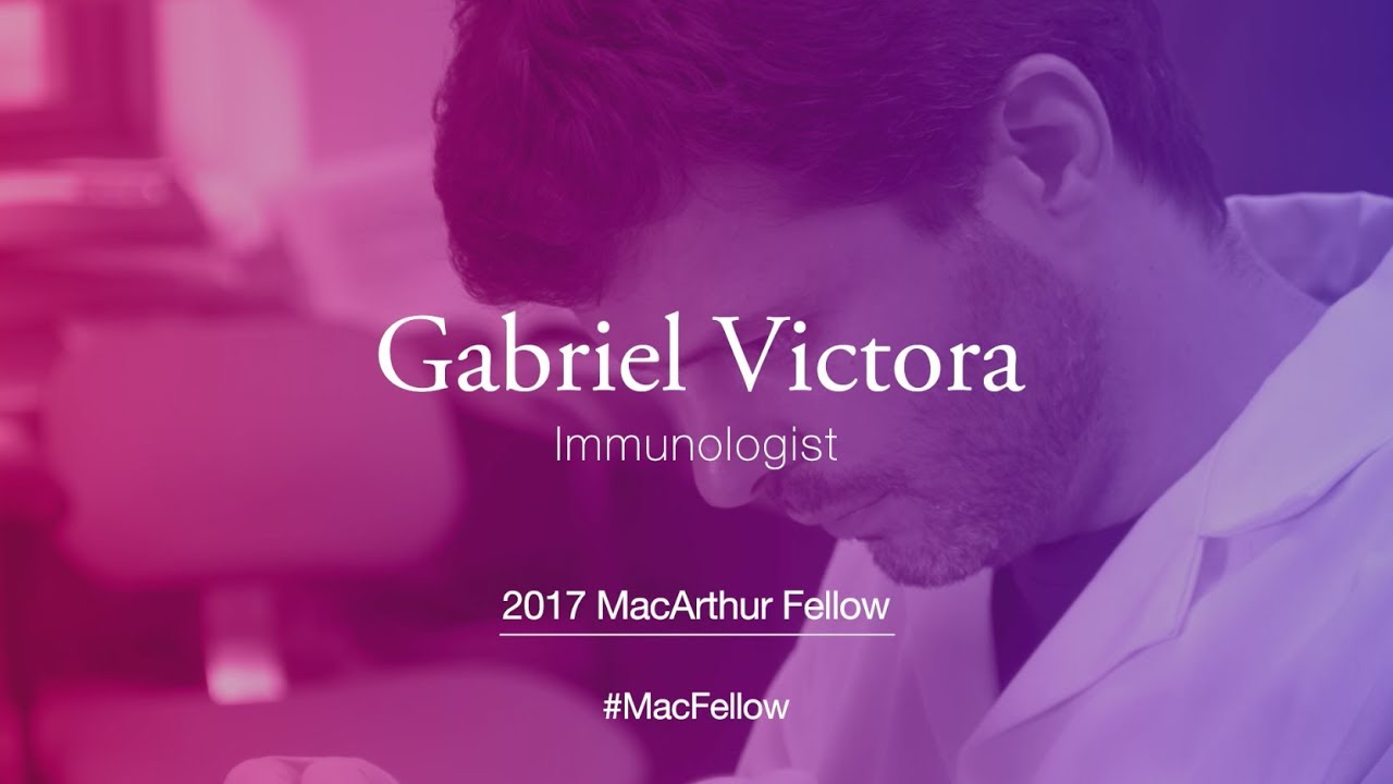 Immunologist Gabriel Victora | 2017 MacArthur Fellow