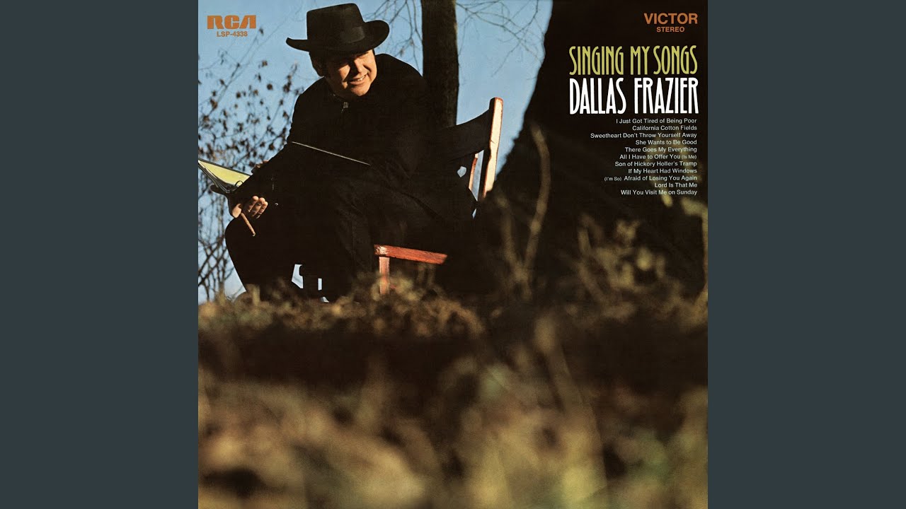 Son of Hickory Holler's Tramp