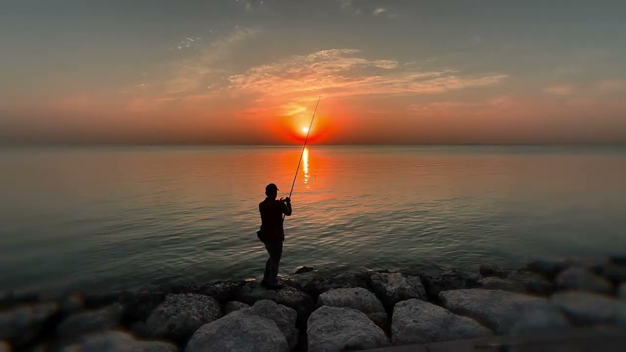 الخبر ٣٠ أكتوبر٢٠٢٤Al Khobar, October 30, 2024