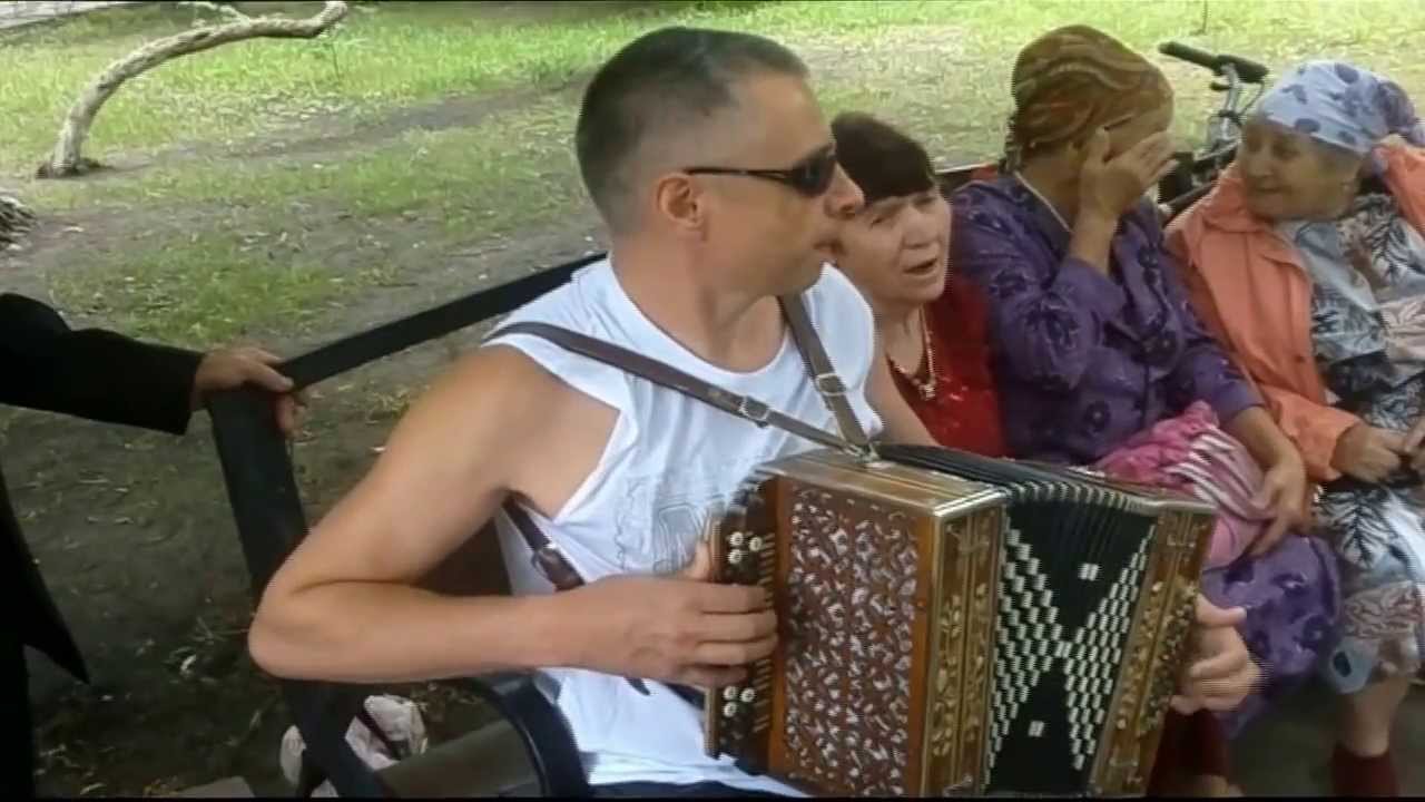 Ой калина, ой малина, под гармонь