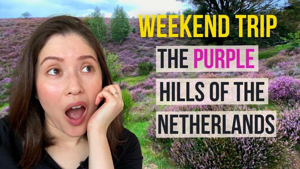 Posbank | Boutique Hotel Beekhuizen | Nationaal Park Veluwezoom |  | Hotel review