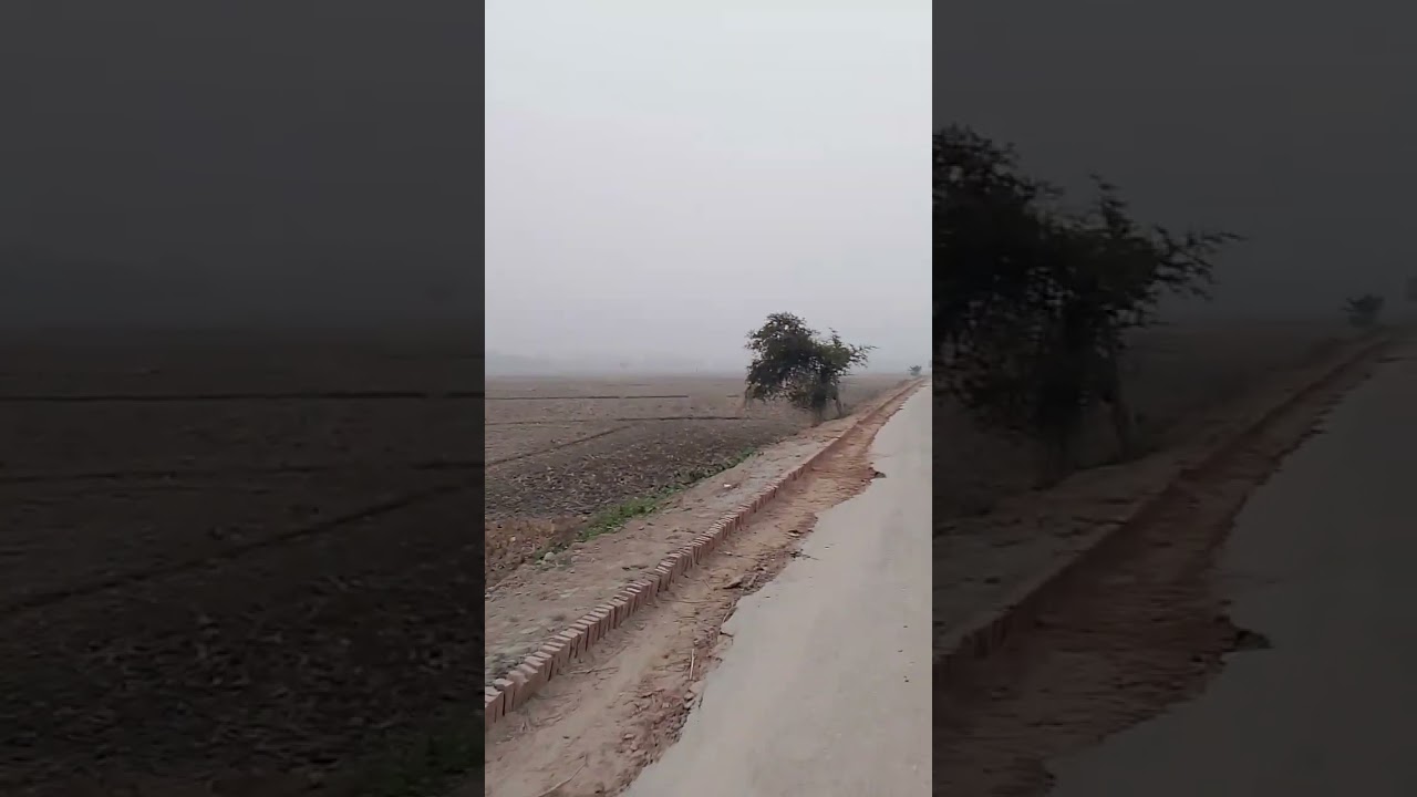 কিছু গ্রামের সিনারি কিছু ব্যবসার কথা।