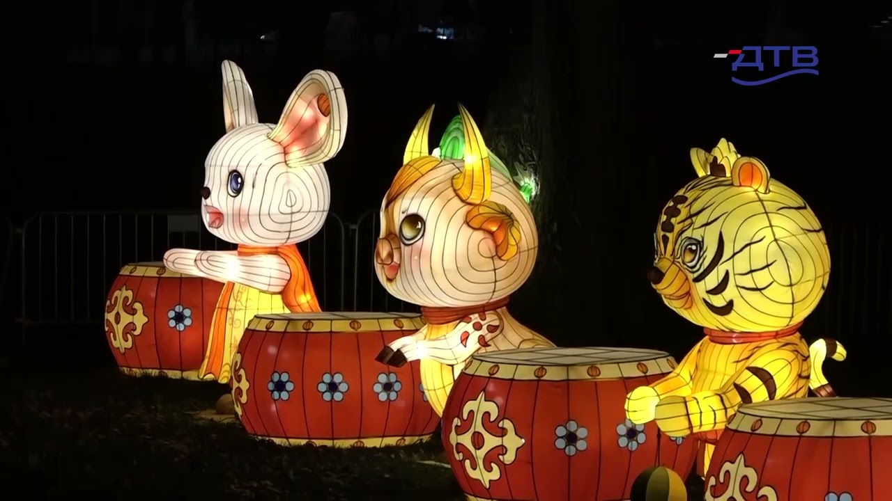 Kineski festival svetla obasjao Novi Sad u znaku Nove godine - DTV