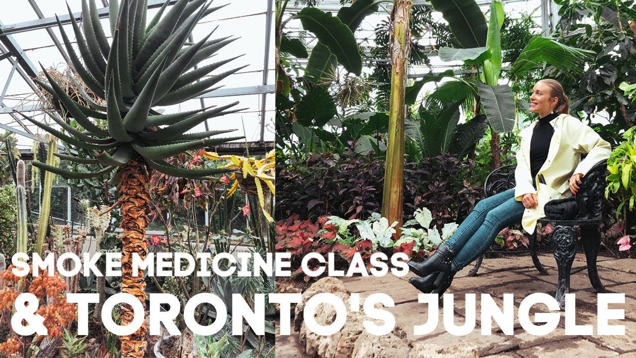 SMOKE MEDICINE & TORONTO'S JUNGLE! | Zoey's Diary 44