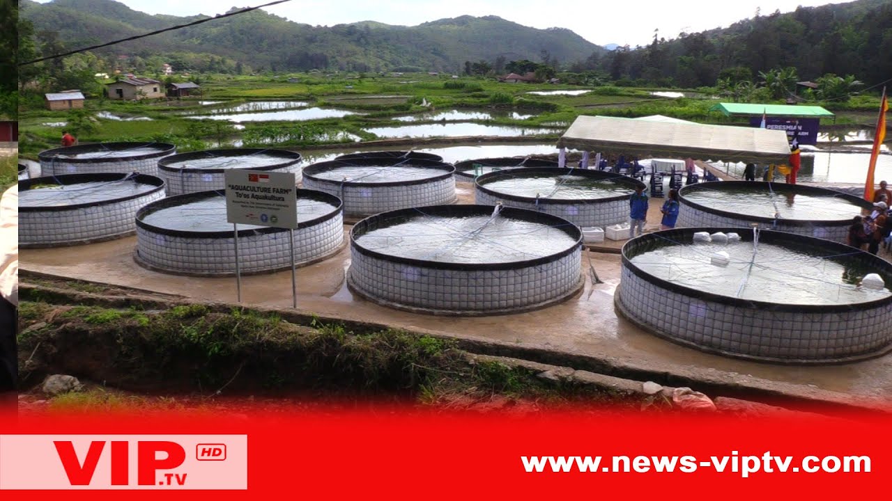 INDONESIA BANTU TIMOR-LESTE BANGUN AQUACULTURE FARM DI AILEU