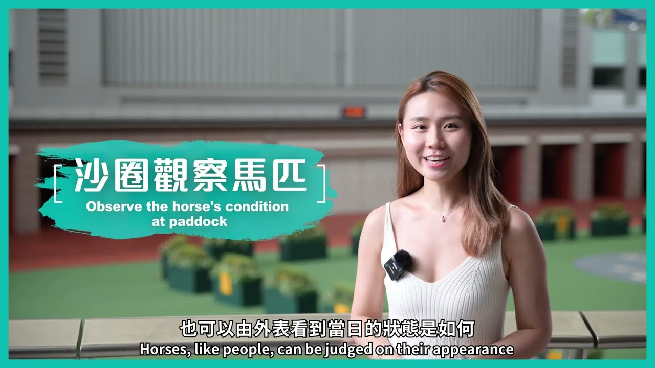 【賽馬知識不太冷】在沙圈如何觀察馬匹？